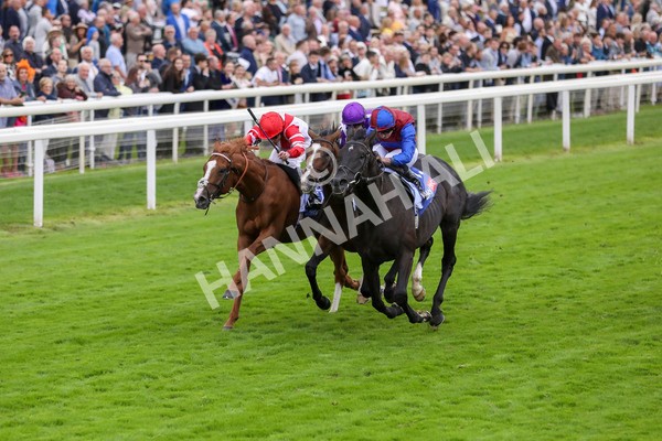 210824-Race 3-Los Angeles-7264 - Race 3 3.00pm Sky Bet Great Voltigeur Stakes