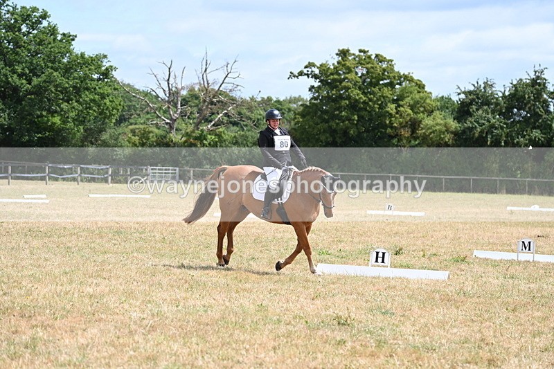 WJ6_3587 - Time 11:34 to 11:43