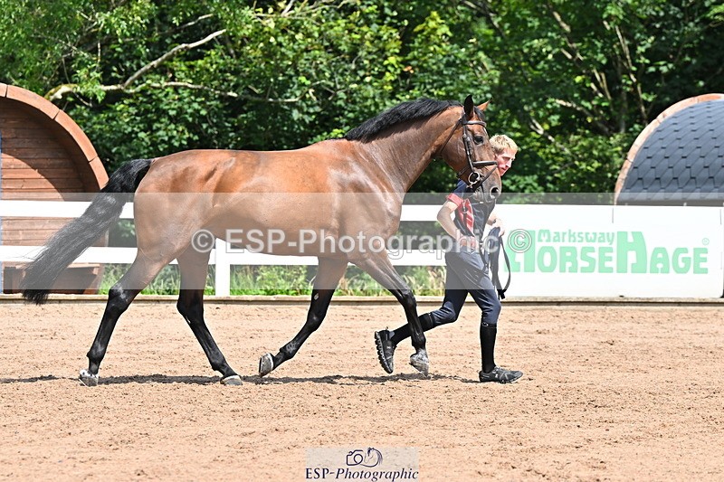 240718A-105249-01200 - Trot Up 12pm to 1pm
