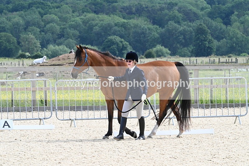 WJ7_8187 - Time 16:10 to 16:25