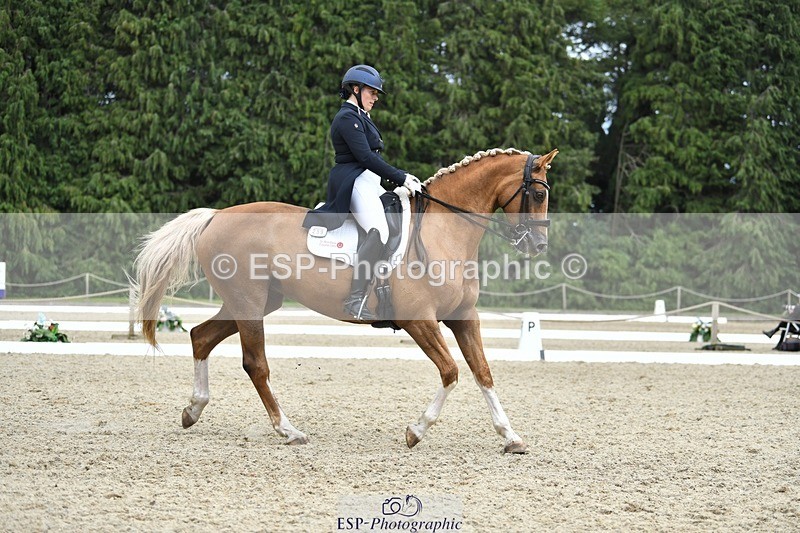 230812-143950-04758 - Cls 7 FEI PSG Bronze