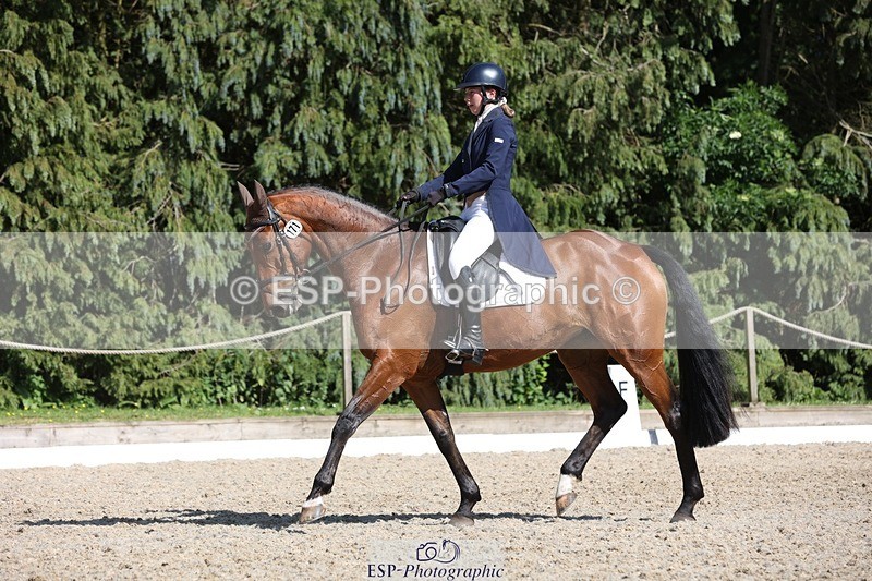 230526-162757-07826 - 171-SLANEYSIDE_COOLEY-Lara_Chapple-WEDTrotUp+DR