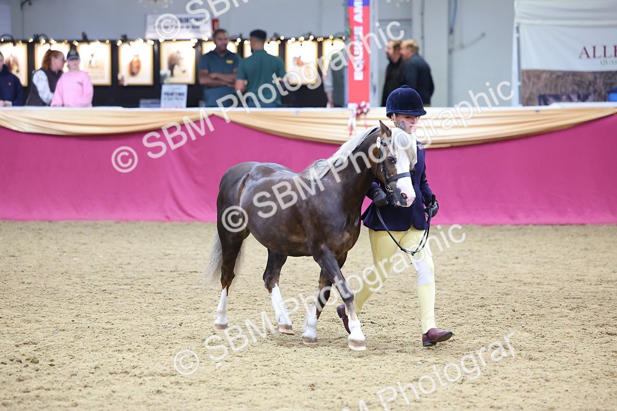 SBM_19470 - Class 901 - Supreme Final - IH Diamond