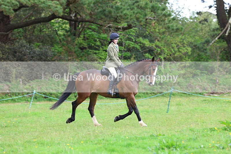 3E7A2496 - Classes 30 and 31: 80cm Working Hunter