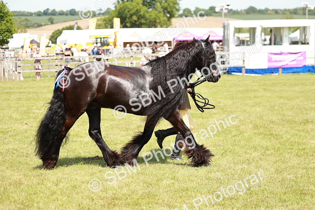 SBM_07171 - Class 26-30 - Mountain and Moorland Ridden