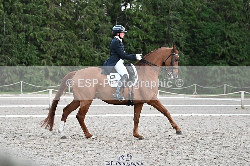 231110-164027-02723 - Cls 14 FEI Grand Prix