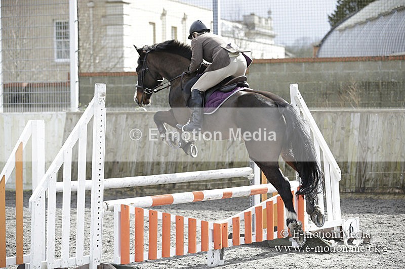 BVRC 050320 0497 - Bourne Valley riding Club Show Jumping Tidworth 08/03/20