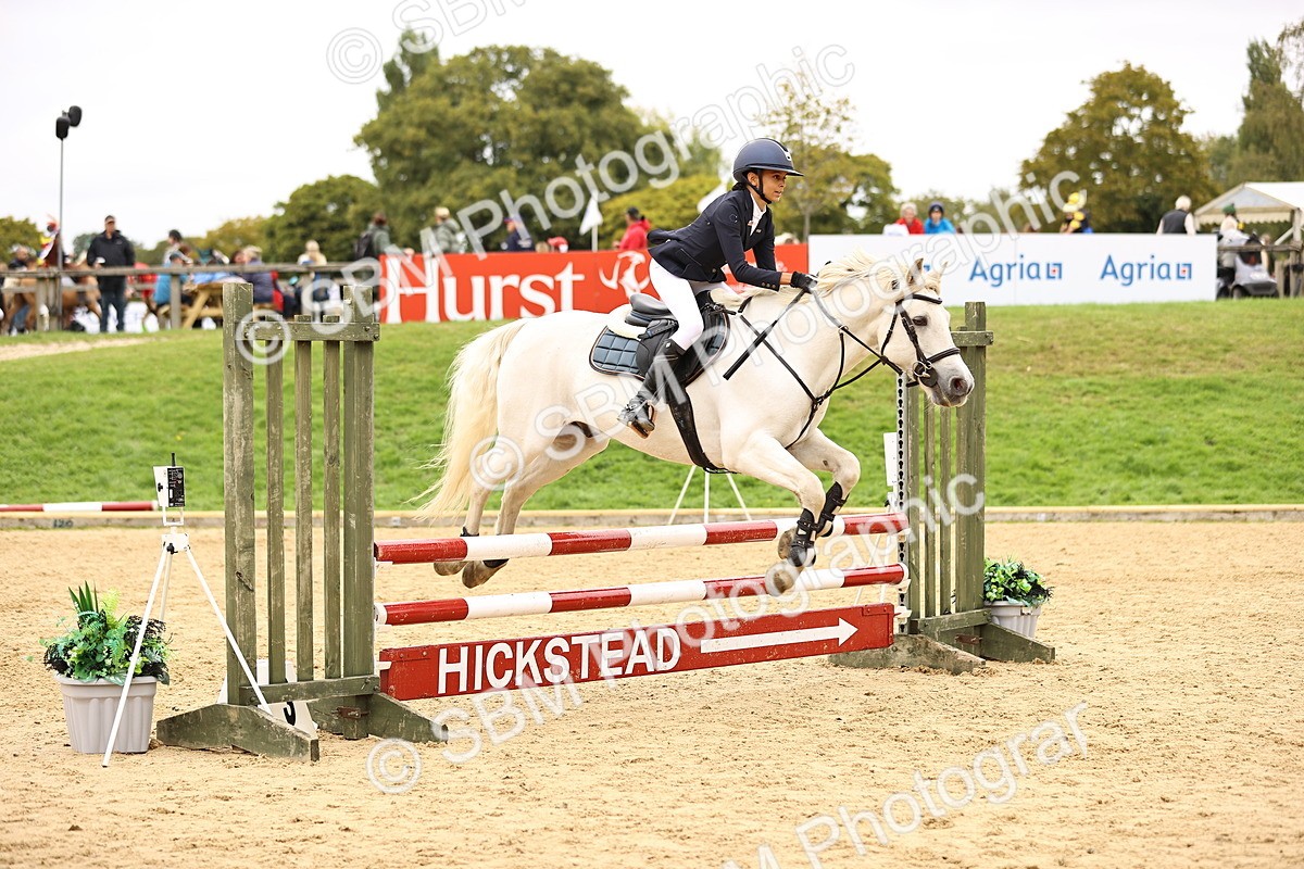 SBM_64776 - J17 - Junior Pony 80cm Championship