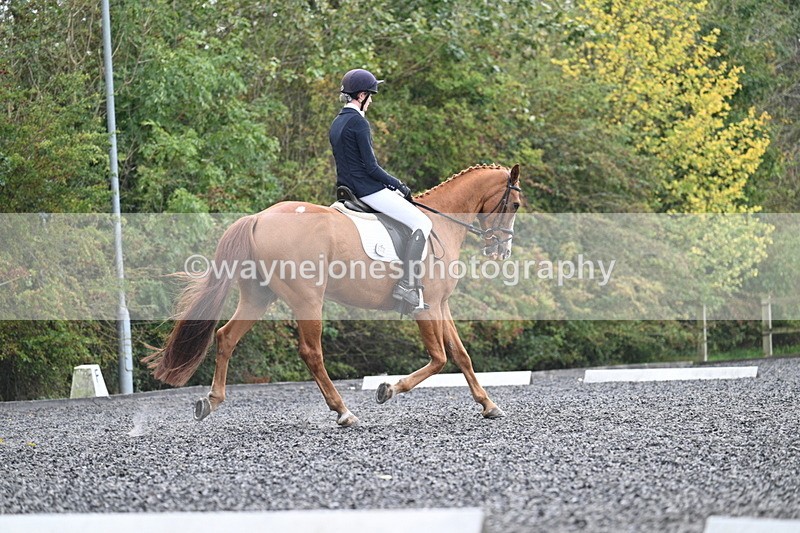 WJ7_6781 - Time 14:49 to 15:14