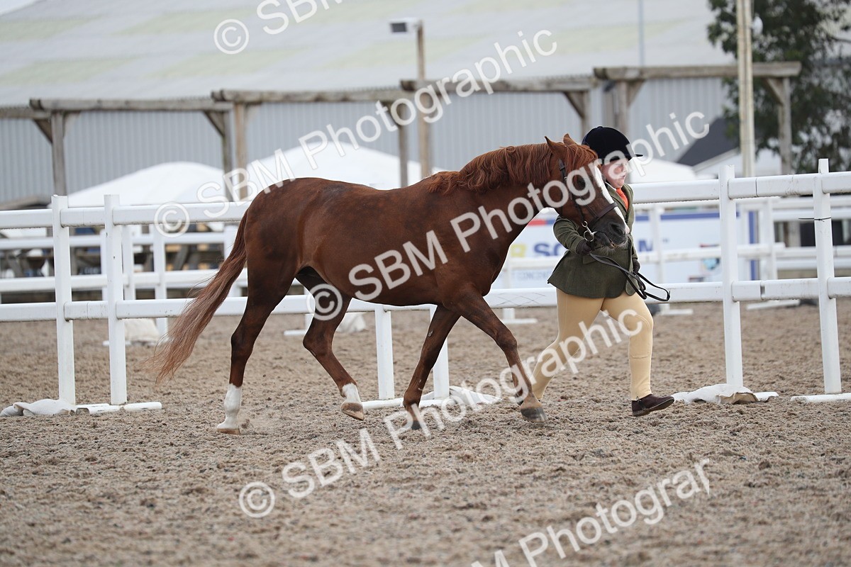 SBM_22519 - Class 604 - 2025 Area - IH Diamond