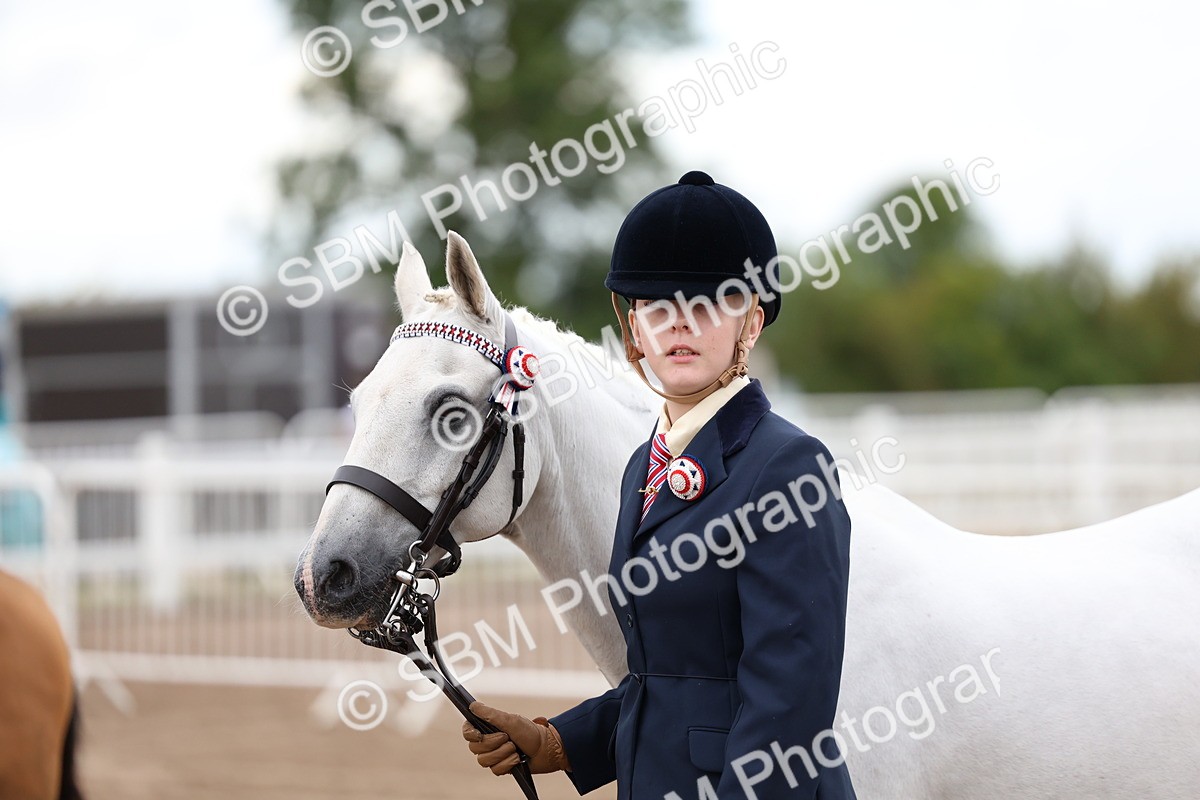 SBM_00258 - Class 13 - Young Handler