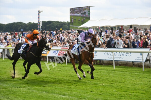 yr11062022r8-25 - Race 8 5.25pm Clean up with PPS Stakes