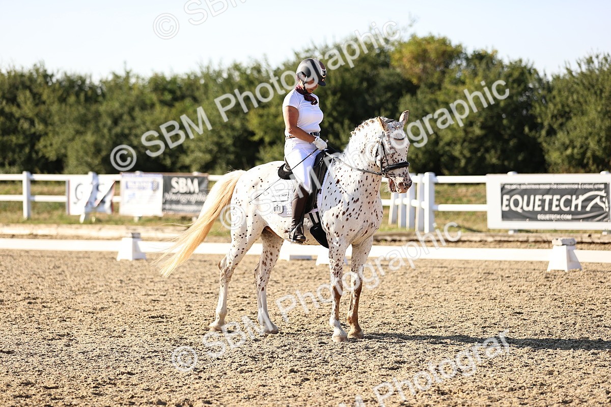 SBM_007806 - Elementary 4 - 17.07-18.22