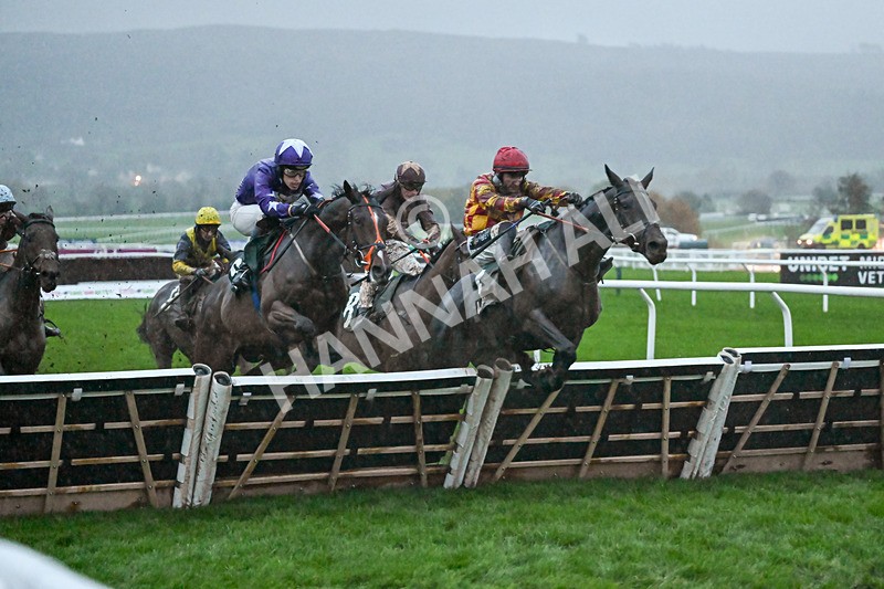 141125-Race 6-Frontier Prince-1509 - Race 6