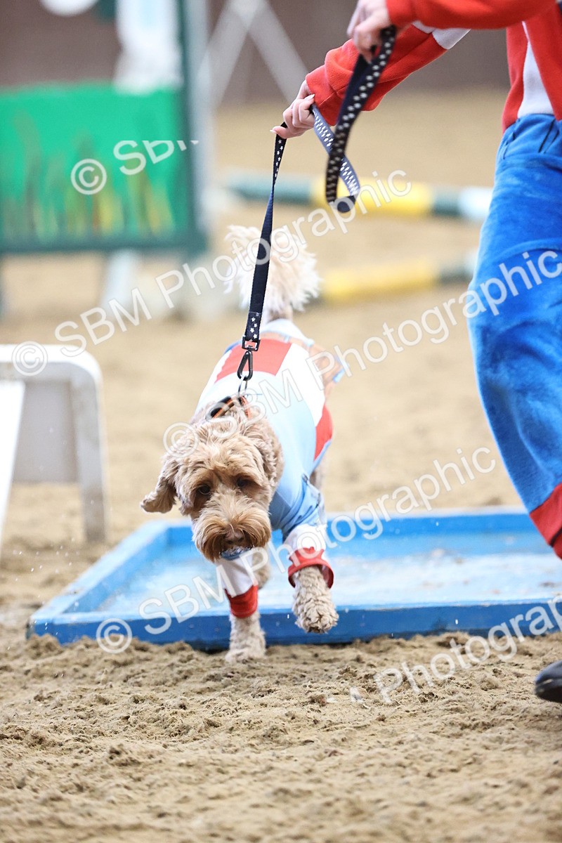 SBM_001616 - Class 3 - Horse & Hound 60cm