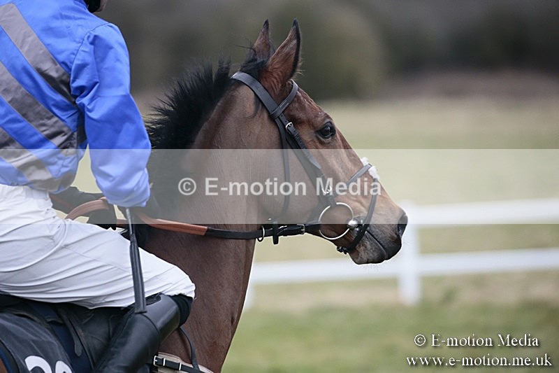 PtP 180218 336 - Combined Services Point-to-Point Larkhill 18/02/18