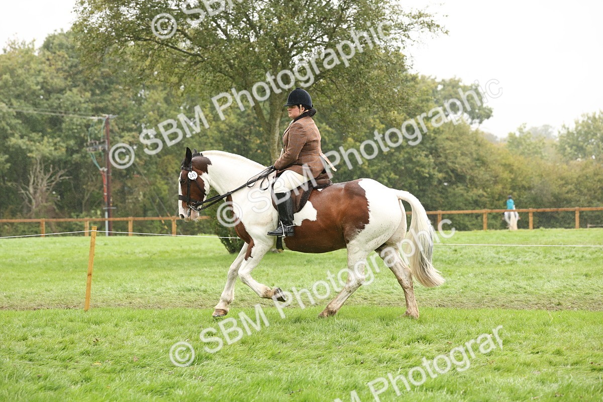SBM_69827 - S69 - Show Cob Ridden