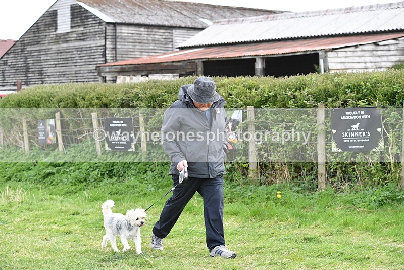 WJ5_0032 - Class 5 Best Veteran / 7 years & over