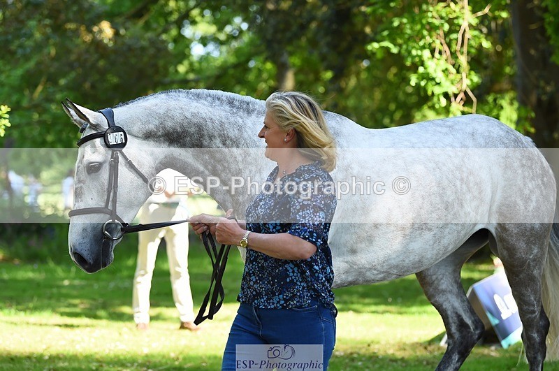 230524-153722-00398 - 366-KILMINGTON_FOLLY-Kristina_Cook-WEDTrotUp+DR