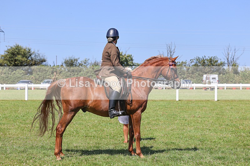 IMG_2230 - Class 37: Pure, Anglo & Part Bred Ridden Arab