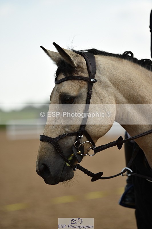 230902A-163704-02112 - Cls 4B Pony Big 1.05m