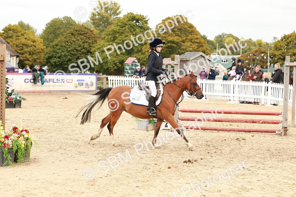 SBM_63604 - J12 - Junior Pony 55cm Championship