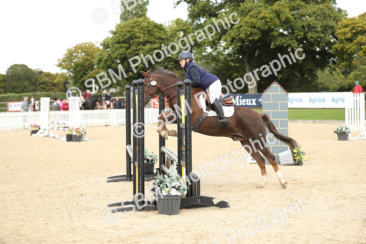 SBM_10003 - J36 - Veteran Rider 70cm