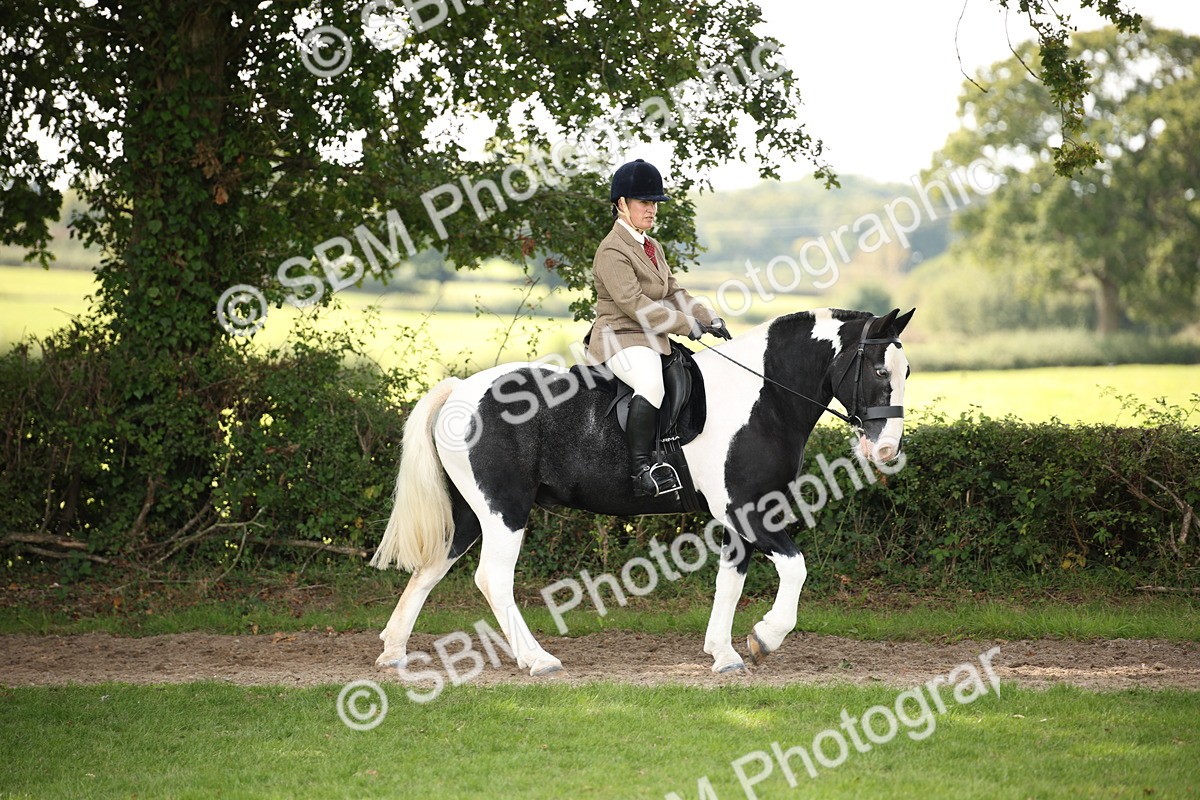 SBM_70057 - S65 - Piebald & Skewbald Horse Ridden