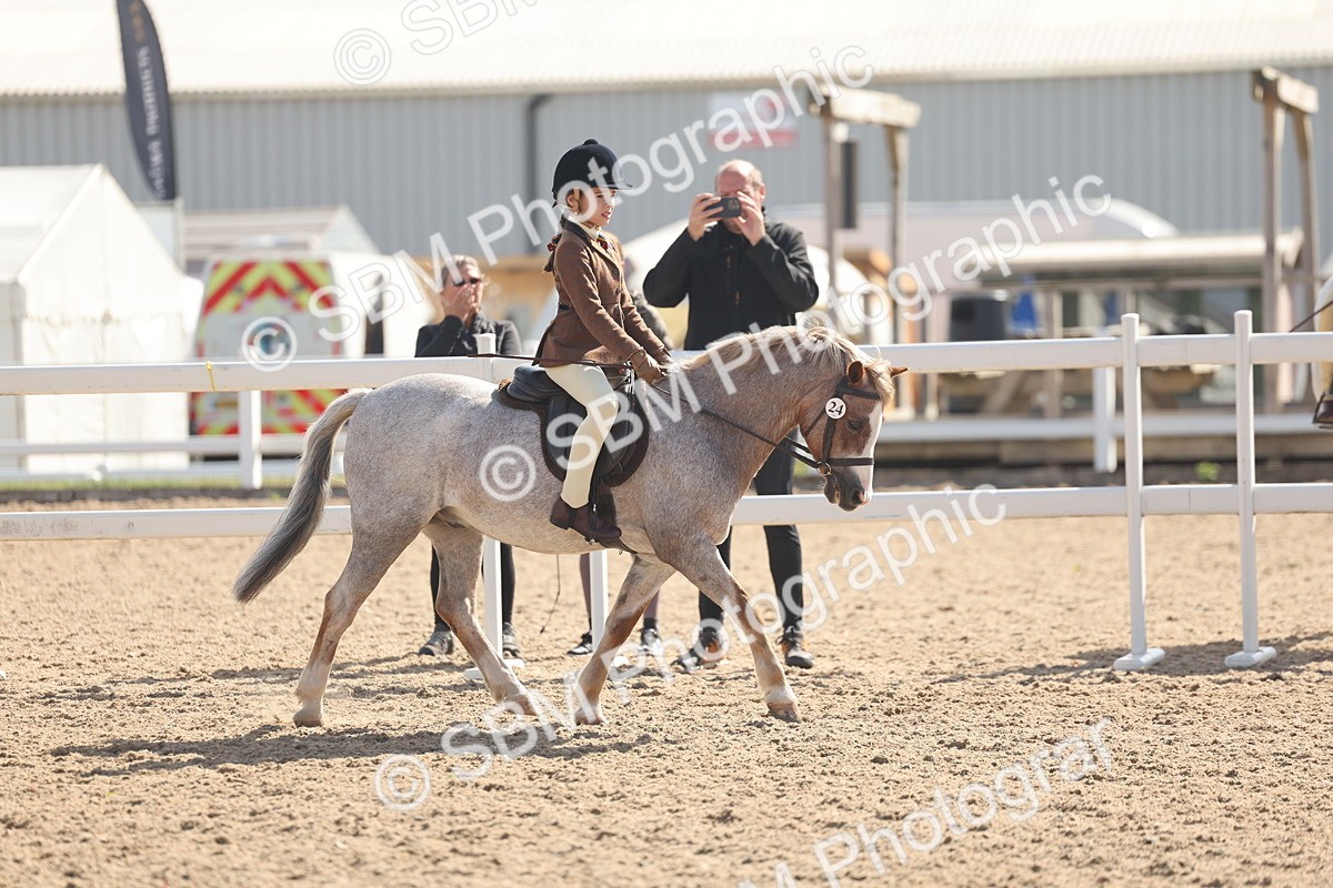 SBM_23116 - Class 806 - Young Rider 10ry and Under