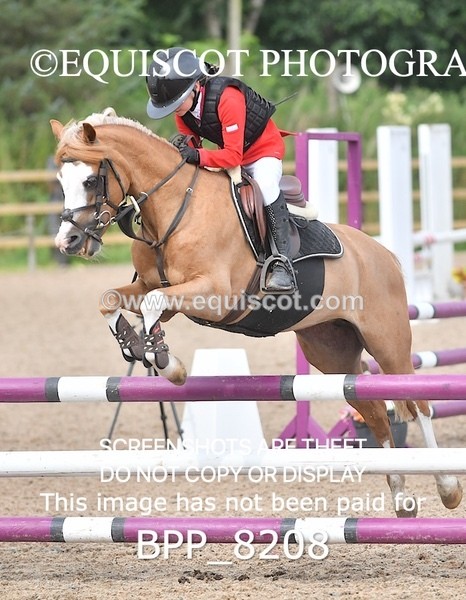 BPP_8208 - CLASS 13 SUN Pony BritiNovice / 0.80m Open