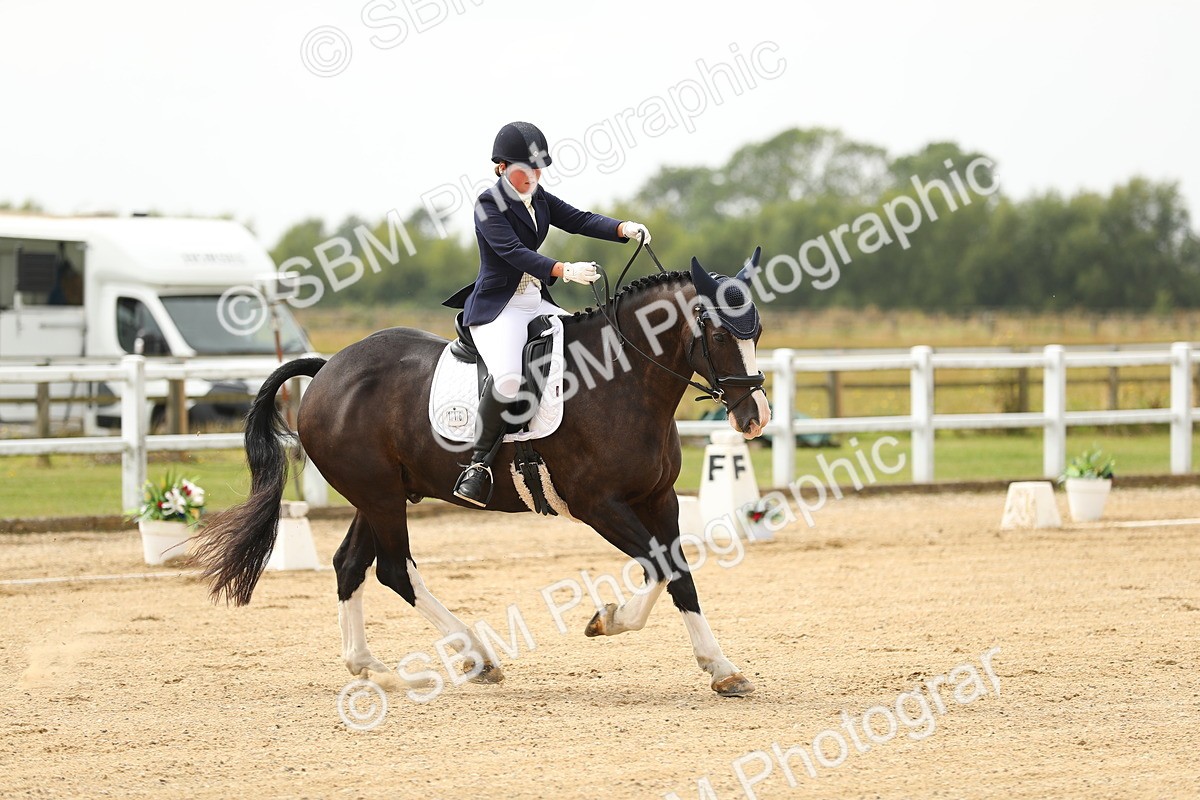 SBM_017252 - Class 13 - Novice 23 - 13.31-14.13