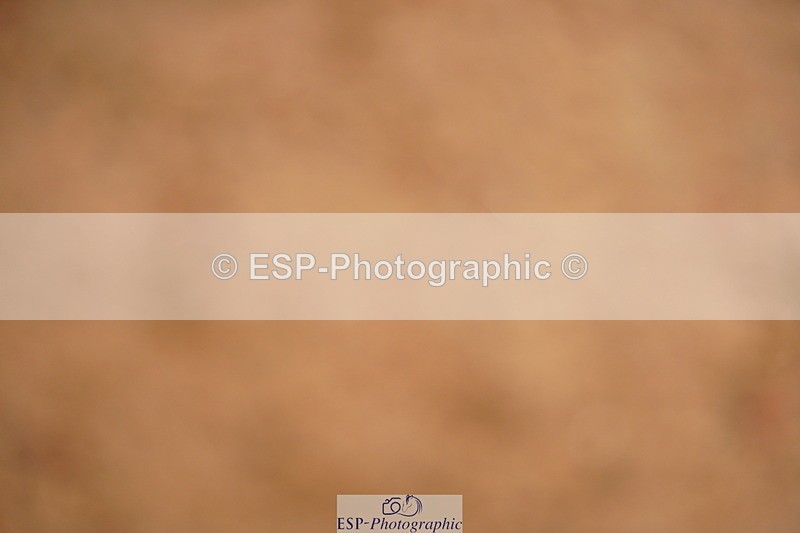 240526A-141636-08483 - Cls 28 Newcomers