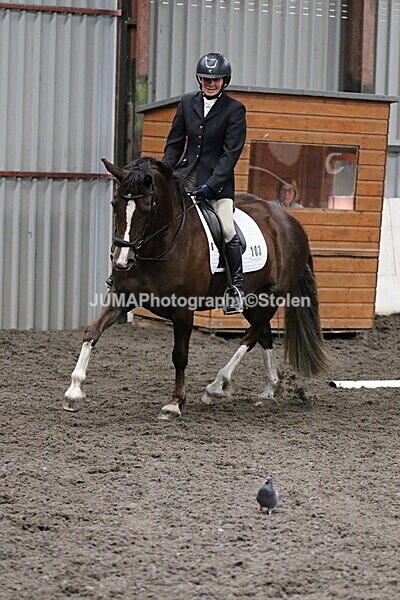 SIAL4646 - CAbin Dressage 5th july 2025