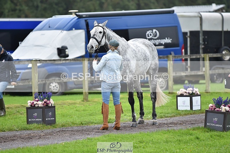 231018-122004-00213 - 028-BOLEYBAWN.COOLEY.LADY-Claire.Fielding-TrotUp