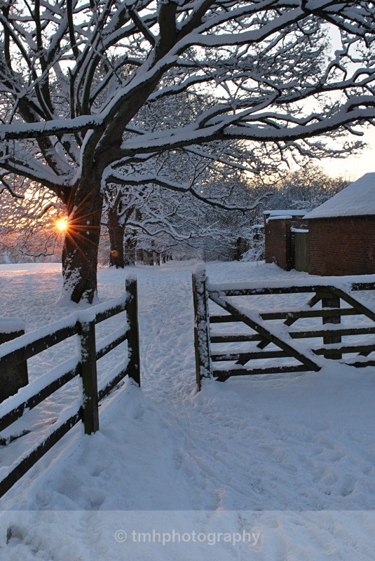 Through the gate. - Snow Scene's /Winter