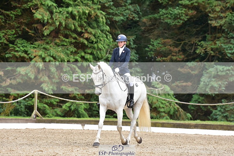 250719A-153236-06869 - 024-Neve.Moran-Clareville.Golden.Knight