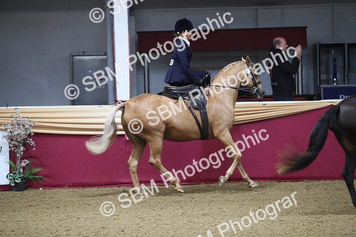 SBM_09279 - Class 101 Equitation (best rider), Junior