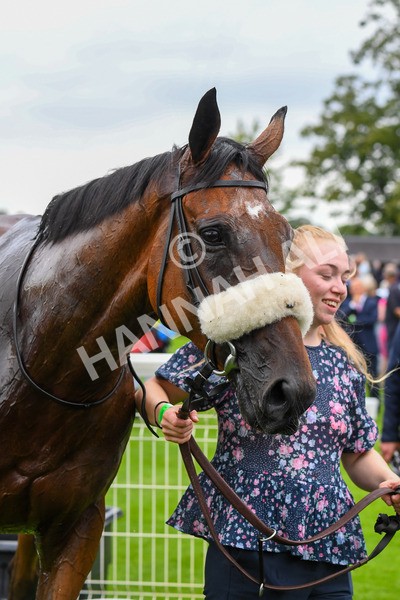 230823-Race 5-Forza Orta-0749 - Race 5 4.10pm Sky Bet Stayers Handicap