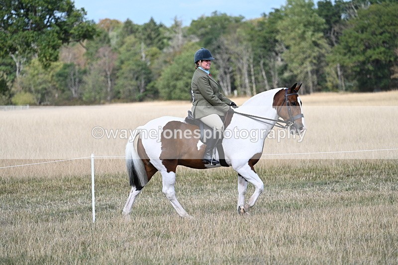 WJ7_6674 - Class 14 Ridden Coloured