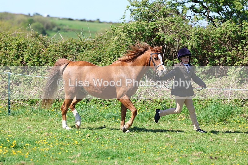 3E7A9829 - Class 17: Young Handler