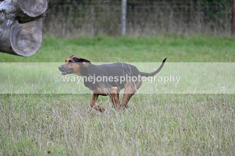 WJ7_3541 - Camera 1 Line 1