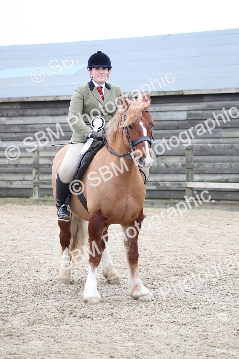 SBM_006246 - Class 10-13 - RIHS Small Large Breeds