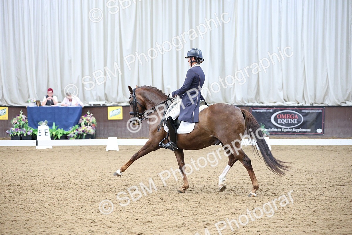 SBM_004864 - Class 9 - FEI Inter 1 Gold - 16.59-17.47