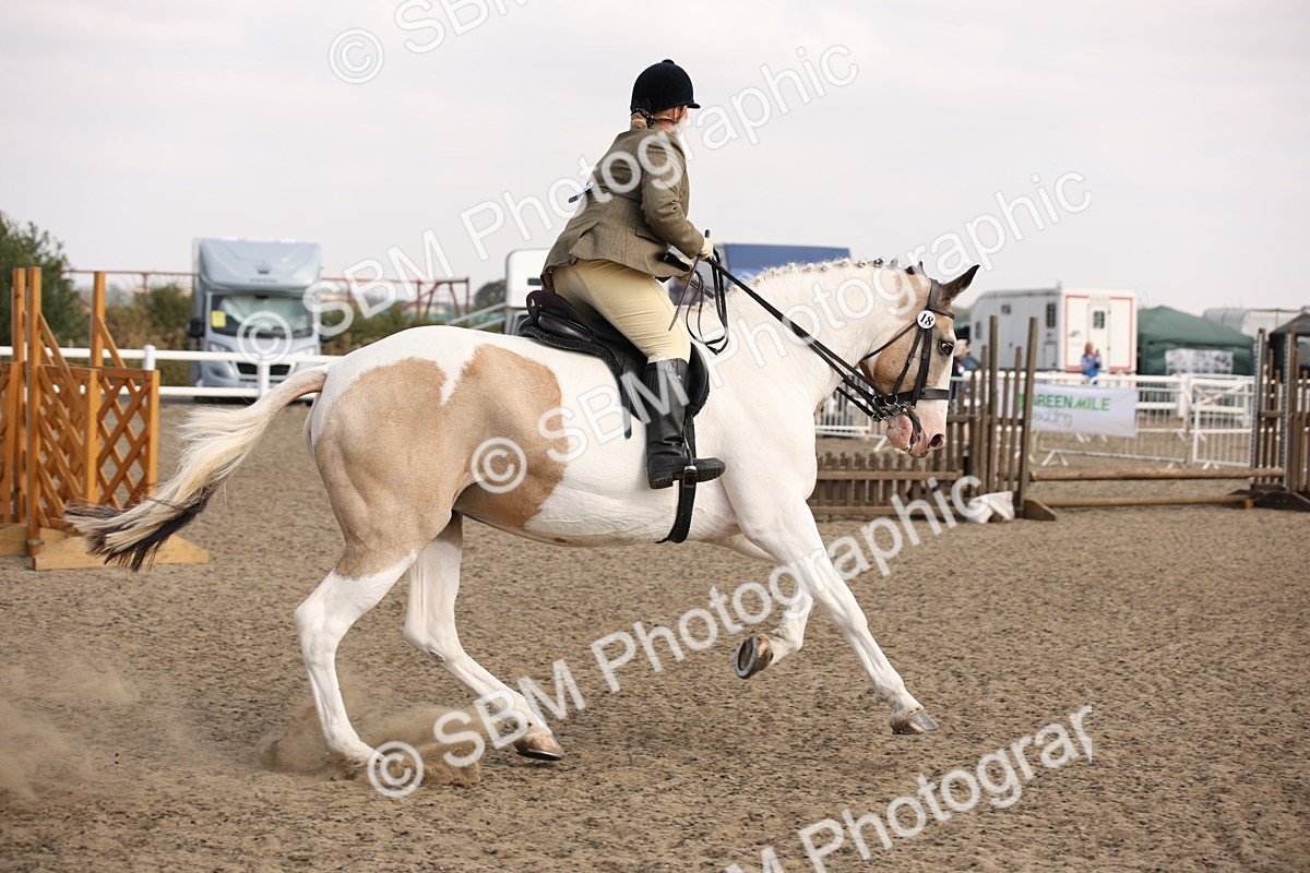 SBM_14205 - Class 407a - Working Veteran 60cm (15-19