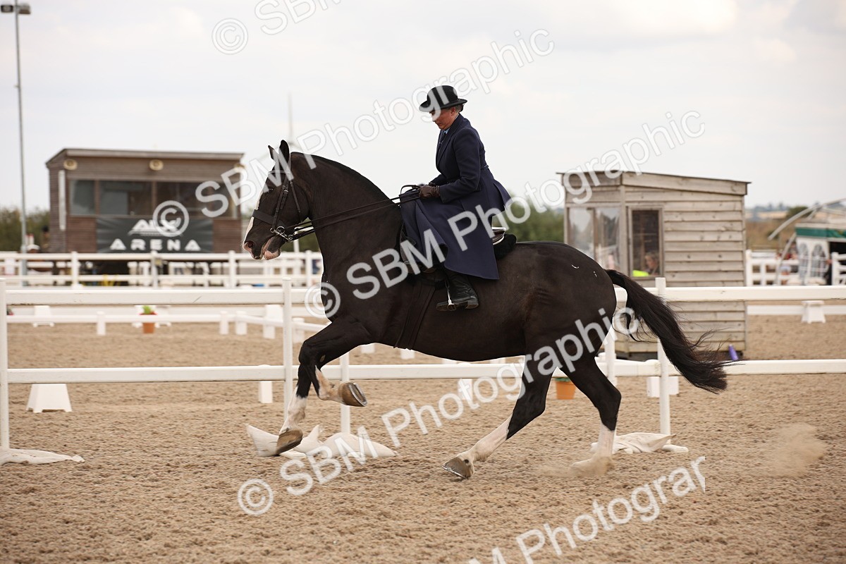 SBM_05358 - Class 22 SSA Equitation