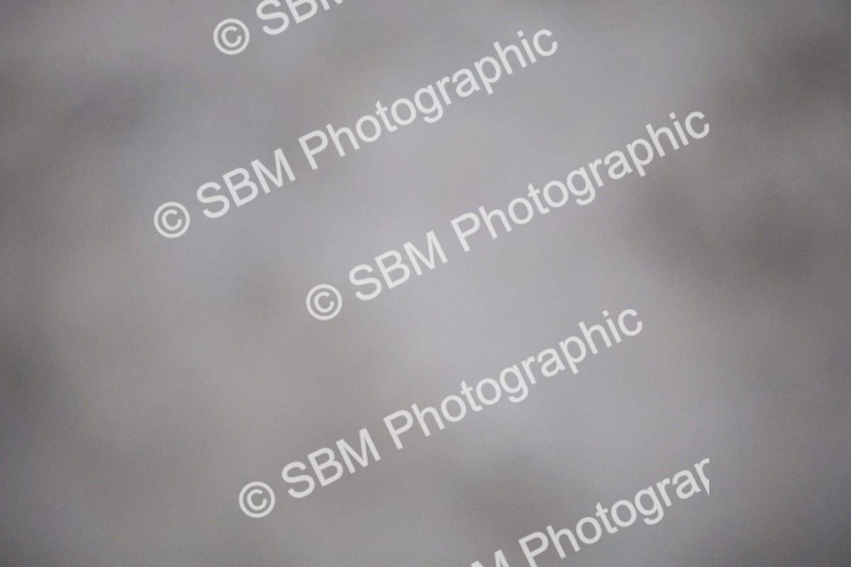 SBM_002123 - 90cm-1.00m