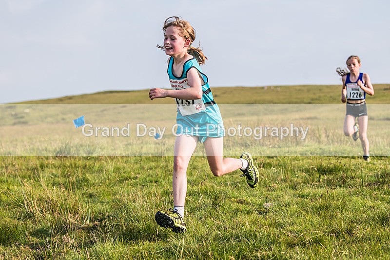 Tebay-240 - Tebay Fell Race Wednesday 26th June 2024