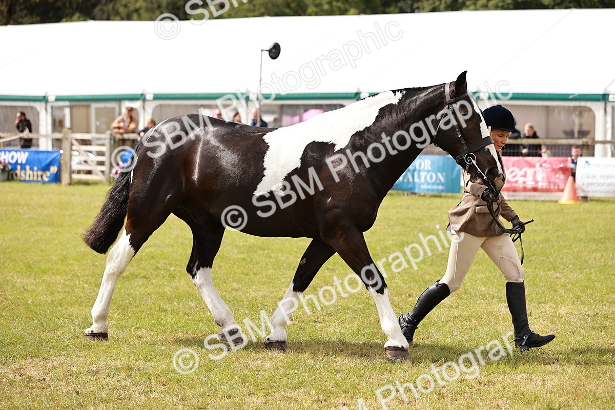 SBM_13147 - Class 85-87 - RIHS Cobs