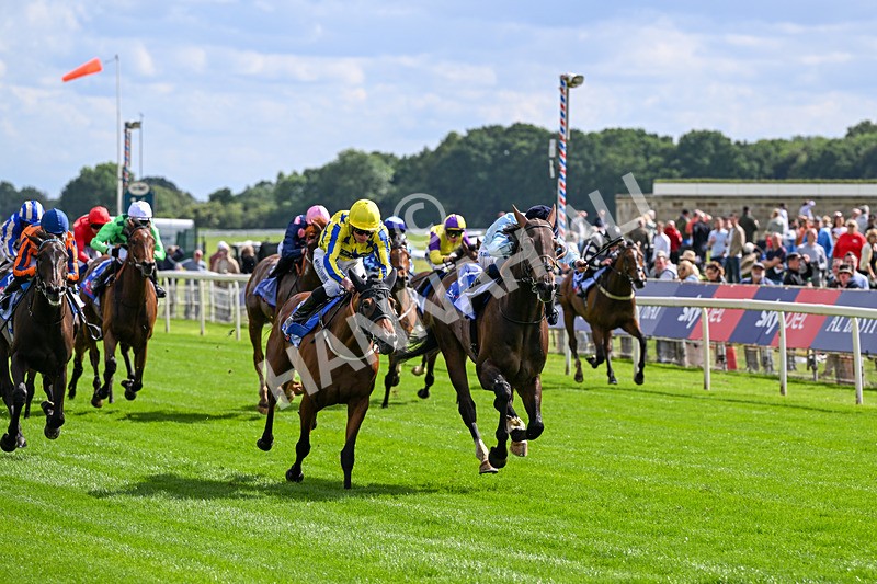 120626-Race 5-Antipodes-7821 - Race 5 16.10pm Sky Bet The World's Gone Football Handicap