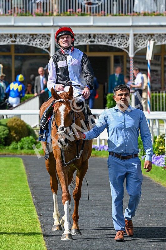230526-Race 4-Danielle-7113 - Race 4 15.15pm William Hill Bronte Cup Fillies' Stakes